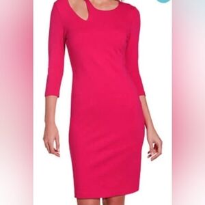 Boston Proper NWT Size Medium Elegant Pink Women's Dress